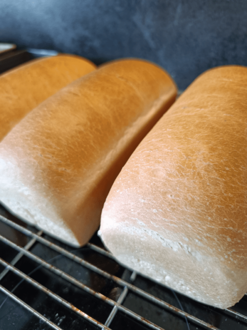 Goldbraun gebackener Buttertoast der gerade auskühlt.